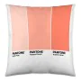 Kissenbezug Ombre B Pantone Localization-B086JQB7QD Reversibel 50 x 50 cm von Pantone, Zierkissenbezüge - Ref: S2805275, Prei...