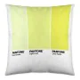 Housse de coussin Ombre C Pantone Localization_B086JQZYZH Réversible 50 x 50 cm de Pantone, Housses de coussin - Réf : S28052...