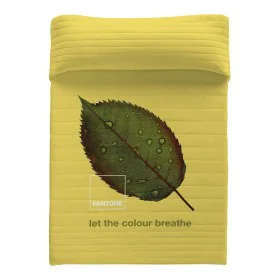 Colcha Nature Pantone de Pantone, Cobertores e colchas - Ref: S2805324, Preço: 46,17 €, Desconto: %