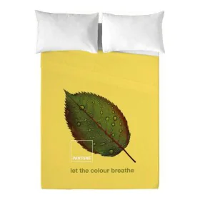 Juego de Sábanas Nature Pantone de Pantone, Sábanas y fundas de almohada - Ref: S2805351, Precio: 23,74 €, Descuento: %