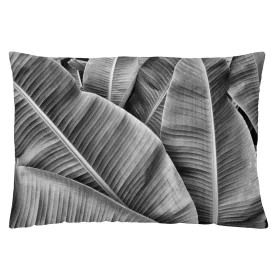 Capa de travesseiro Naturals MONE 1 Peça 30 x 50 cm de Naturals, Capas - Ref: S2807752, Preço: 8,31 €, Desconto: %