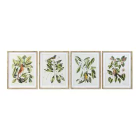 Quadro DKD Home Decor Bird 55 x 2,5 x 70 cm Tropicale Uccelli (4 Pezzi) di DKD Home Decor, Stampe e quadri su tela - Rif: S30...