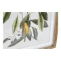 Cuadro DKD Home Decor Bird 55 x 2,5 x 70 cm Tropical Pájaros (4 Piezas) de DKD Home Decor, Impresiones sobre lienzo - Ref: S3...