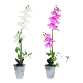 Decorative Plant DKD Home Decor Stoneware Orchid 21 x 21 x 82 cm (2 Units) (12 Units) by DKD Home Decor, Artificial Plants - ...