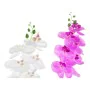 Plante décorative DKD Home Decor Grès Orchidée 21 x 21 x 82 cm (2 Unités) (12 Unités) de DKD Home Decor, Plantes artificielle...