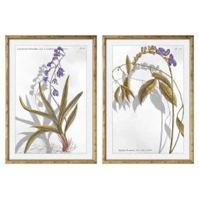 Cuadro DKD Home Decor 50 x 2 x 70 cm Moderno Plantas botánicas (2 Unidades) de DKD Home Decor, Impresiones sobre lienzo - Ref...