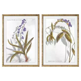 Painting DKD Home Decor 50 x 2 x 70 cm Modern Botanical plants (2 Units) by DKD Home Decor, Prints on Canvas - Ref: S3018215,...