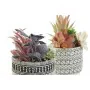 Planta Decorativa DKD Home Decor Cactus Resina Polietileno 11 x 11 x 21 cm (2 Unidades) de DKD Home Decor, Plantas - Ref: S30...