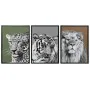 Cadre DKD Home Decor 67 x 3 x 93 cm Colonial Jungle (3 Pièces) de DKD Home Decor, Impressions sur toile - Réf : S3028155, Pri...