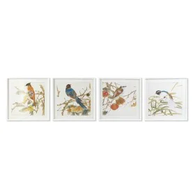 Cadre DKD Home Decor 60 x 2,5 x 60 cm Oiseau Shabby Chic (4 Pièces) de DKD Home Decor, Impressions sur toile - Réf : S3028404...