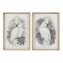 Painting DKD Home Decor 50 x 2,8 x 70 cm Colonial Parrot (2 Units) by DKD Home Decor, Prints on Canvas - Ref: S3028407, Price...