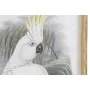 Painting DKD Home Decor 50 x 2,8 x 70 cm Colonial Parrot (2 Units) by DKD Home Decor, Prints on Canvas - Ref: S3028407, Price...