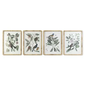 Cadre DKD Home Decor 50 x 2,5 x 65 cm Shabby Chic Plantes botaniques (4 Pièces) de DKD Home Decor, Impressions sur toile - Ré...