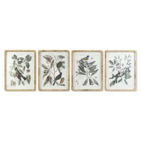 Bild DKD Home Decor 50 x 2,5 x 65 cm Shabby Chic Botanische Pflanzen (4 Stücke) von DKD Home Decor, Leinwanddrucke - Ref: S30...