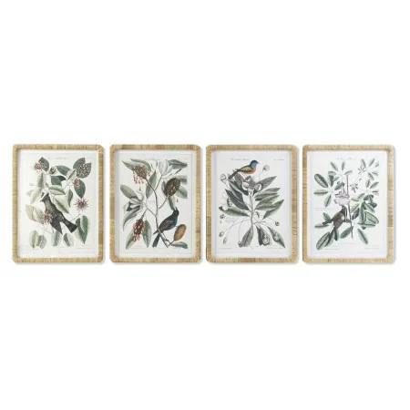 Bild DKD Home Decor 50 x 2,5 x 65 cm Shabby Chic Botanische Pflanzen (4 Stücke) von DKD Home Decor, Leinwanddrucke - Ref: S30...