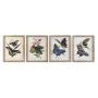 Cadre DKD Home Decor Papillons 40 x 2 x 50 cm Shabby Chic (4 Pièces) de DKD Home Decor, Impressions sur toile - Réf : S302863...