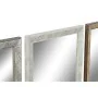 Miroir mural DKD Home Decor 36 x 2 x 95,5 cm Verre Naturel Gris Marron Blanc polystyrène Tropical Feuille d'une plante (4 Piè...