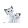 Figurine Décorative DKD Home Decor 15 x 10 x 29 cm Blanc Chats Romantique de DKD Home Decor, Objets de décoration - Réf : S30...