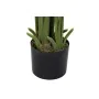 Planta Decorativa DKD Home Decor Palmeras Verde PE (50 x 50 x 180 cm) de DKD Home Decor, Plantas - Ref: S3030471, Precio: 76,...