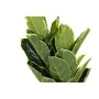 Planta Decorativa DKD Home Decor Polietileno Verde 40 x 40 x 120 cm Urbana de DKD Home Decor, Plantas - Ref: S3030472, Preço:...