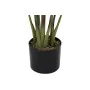 Plante décorative DKD Home Decor 40 x 40 x 115 cm Polyéthylène Vert Oiseaux de paradis Urbaine de DKD Home Decor, Plantes art...