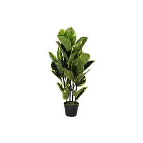 Planta Decorativa DKD Home Decor Polietileno Urbana 40 x 40 x 90 cm de DKD Home Decor, Plantas - Ref: S3030476, Preço: 42,63 ...