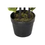 Planta Decorativa DKD Home Decor Polietileno Urbana 40 x 40 x 90 cm de DKD Home Decor, Plantas - Ref: S3030476, Preço: 37,34 ...