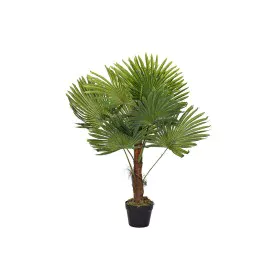 Planta Decorativa DKD Home Decor Palmeira Verde PE (40 x 40 x 90 cm) de DKD Home Decor, Plantas - Ref: S3030477, Preço: 43,43...