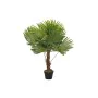 Planta Decorativa DKD Home Decor Palmera Verde PE (40 x 40 x 90 cm) de DKD Home Decor, Plantas - Ref: S3030477, Precio: 38,04...