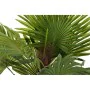 Dekorationspflanze DKD Home Decor Palme grün PE (40 x 40 x 90 cm) von DKD Home Decor, Pflanzen - Ref: S3030477, Preis: 38,04 ...