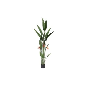 Plante décorative DKD Home Decor 75 x 75 x 180 cm Orange Vert Jaune polypropylène Oiseaux de paradis de DKD Home Decor, Plant...