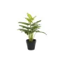 Decorative Plant DKD Home Decor PVC polypropylene 25 x 25 x 30 cm by DKD Home Decor, Artificial Plants - Ref: S3030548, Price...