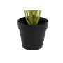 Decorative Plant DKD Home Decor PVC polypropylene 25 x 25 x 30 cm by DKD Home Decor, Artificial Plants - Ref: S3030548, Price...