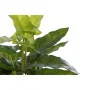 Decorative Plant DKD Home Decor PVC polypropylene 25 x 25 x 30 cm by DKD Home Decor, Artificial Plants - Ref: S3030548, Price...