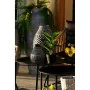 Planta Decorativa DKD Home Decor PVC Polipropileno 25 x 25 x 30 cm de DKD Home Decor, Plantas - Ref: S3030550, Precio: 7,99 €...