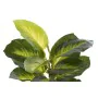 Planta Decorativa DKD Home Decor PVC Polipropileno 25 x 25 x 30 cm de DKD Home Decor, Plantas - Ref: S3030550, Precio: 7,99 €...