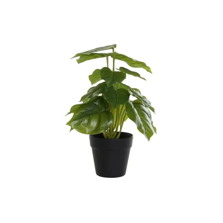 Plante décorative DKD Home Decor PVC polypropylène 20 x 20 x 30 cm de DKD Home Decor, Plantes artificielles - Réf : S3030551,...