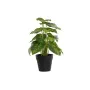 Plante décorative DKD Home Decor PVC polypropylène 20 x 20 x 30 cm de DKD Home Decor, Plantes artificielles - Réf : S3030552,...