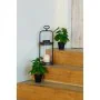 Plante décorative DKD Home Decor PVC polypropylène 20 x 20 x 30 cm de DKD Home Decor, Plantes artificielles - Réf : S3030552,...