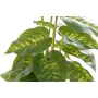 Planta Decorativa DKD Home Decor PVC Polipropileno 20 x 20 x 30 cm de DKD Home Decor, Plantas - Ref: S3030552, Preço: 9,14 €,...