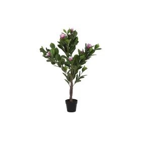 Plante décorative DKD Home Decor Rose Vert PE (60 x 60 x 125 cm) de DKD Home Decor, Plantes artificielles - Réf : S3030599, P...