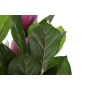 Pianta Decorativa DKD Home Decor Rosa Verde PE (60 x 60 x 125 cm) di DKD Home Decor, Piante artificiali - Rif: S3030599, Prez...