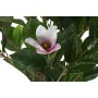 Planta Decorativa DKD Home Decor Cor de Rosa Verde PE (60 x 60 x 125 cm) de DKD Home Decor, Plantas - Ref: S3030599, Preço: 6...