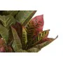 Planta Decorativa DKD Home Decor Castanho Polietileno Verde 50 x 50 x 140 cm de DKD Home Decor, Plantas - Ref: S3030601, Preç...