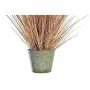 Plante décorative DKD Home Decor Orange Polyéthylène Bordeaux Laiton 20 x 20 x 90 cm (2 Unités) de DKD Home Decor, Plantes ar...