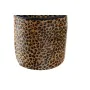 Fermaporta DKD Home Decor Leopardo 19 x 19 x 19 cm di DKD Home Decor, Fermaporte - Rif: S3032851, Prezzo: 25,68 €, Sconto: %