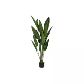 Decorative Plant DKD Home Decor 50 x 50 x 160 cm Polyethylene Green Bird of paradise Urban by DKD Home Decor, Artificial Plan...