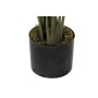 Plante décorative DKD Home Decor 50 x 50 x 160 cm Polyéthylène Vert Oiseaux de paradis Urbaine de DKD Home Decor, Plantes art...