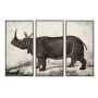 Cadre DKD Home Decor Colonial Rhinocéros (180 x 4 x 120 cm) de DKD Home Decor, Impressions sur toile - Réf : S3038868, Prix :...