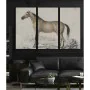 Painting DKD Home Decor Horse (180 x 4 x 120 cm) by DKD Home Decor, Prints on Canvas - Ref: S3038870, Price: 167,77 €, Discou...